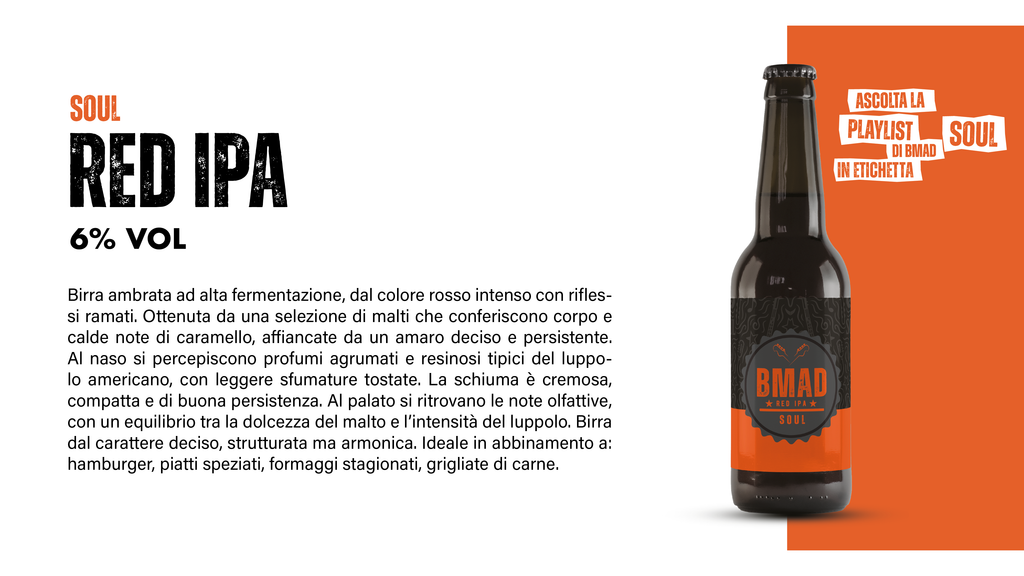 IPA craft beer pack of 12 bottles of 33 cl, Vol 6% 