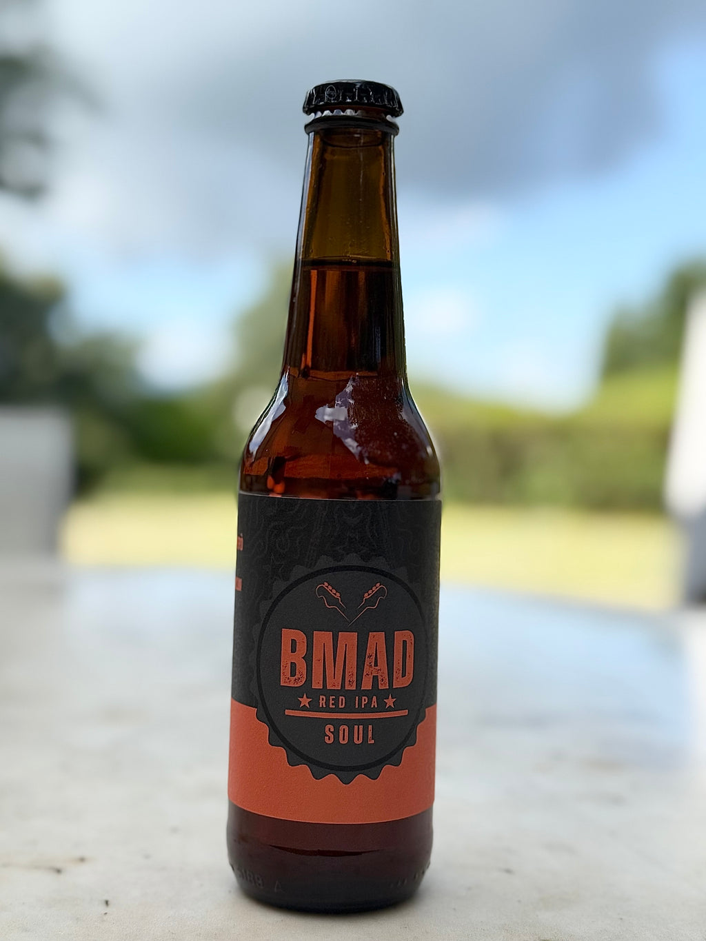 IPA craft beer pack of 12 bottles of 33 cl, Vol 6% 