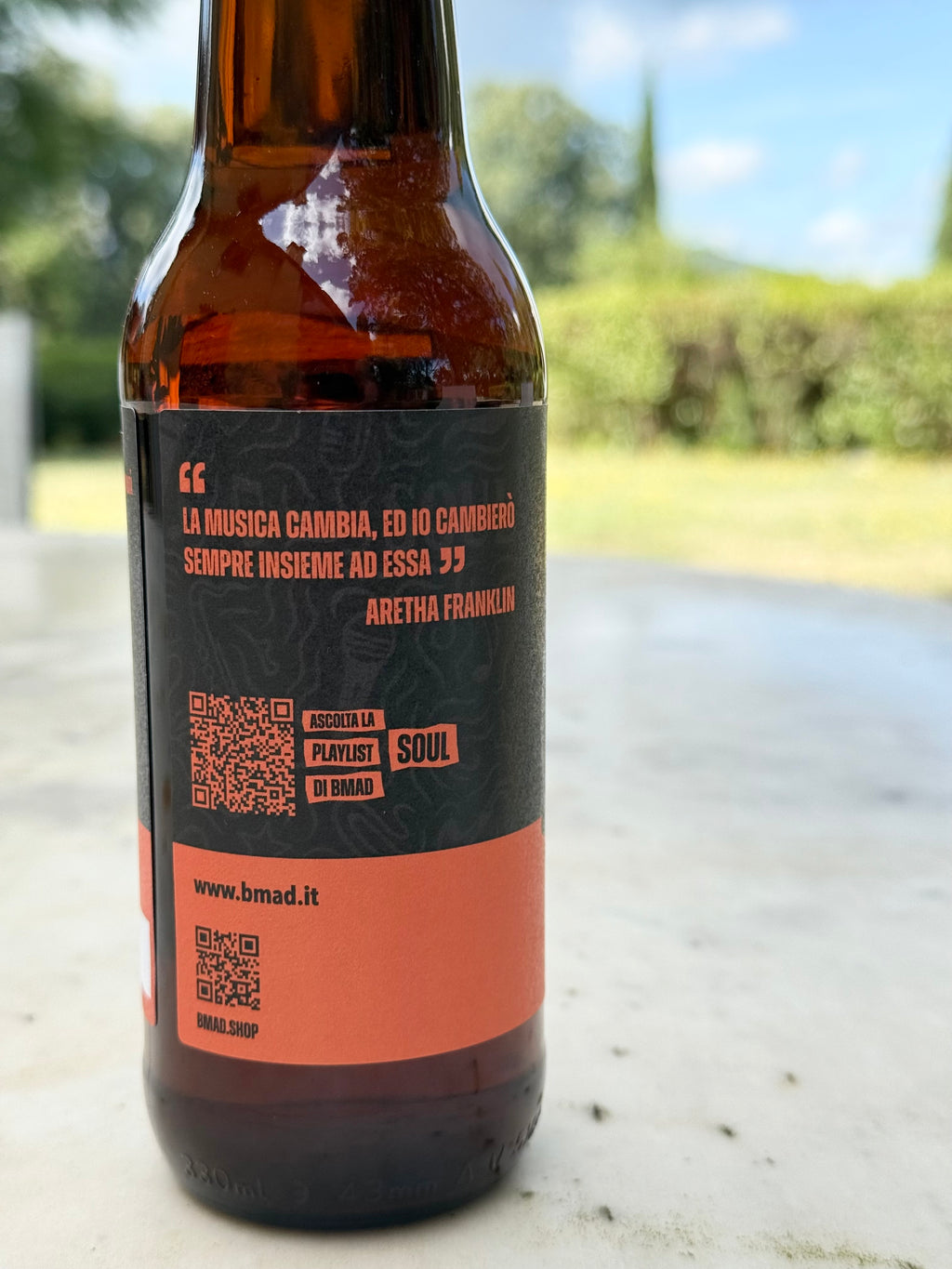 IPA craft beer pack of 12 bottles of 33 cl, Vol 6% 