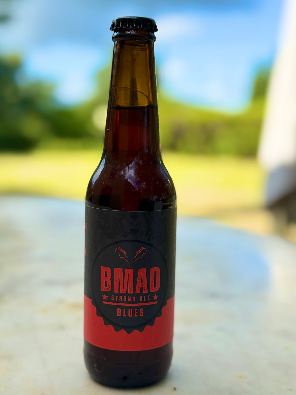 Birra artigianale Amber Strong Ale confezione da 6 bottiglie da 33 cl, Vol 7%